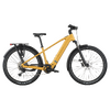 Scott Sub Sport 10 - colorado gold - M